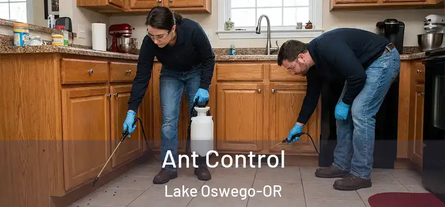  Ant Control Lake Oswego-OR
