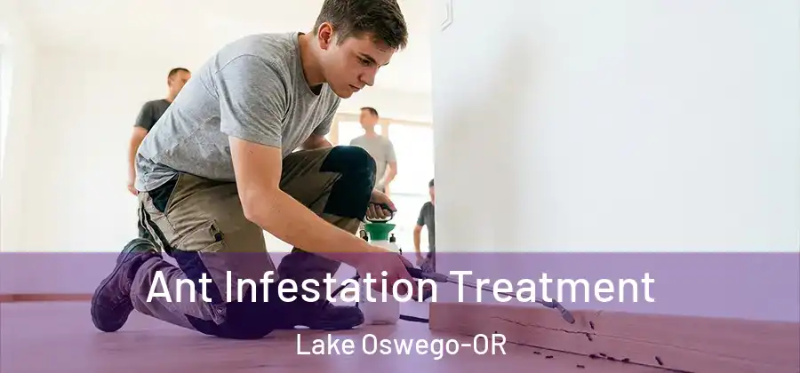  Ant Infestation Treatment Lake Oswego-OR