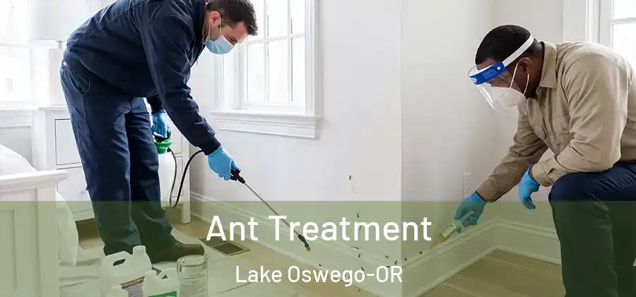  Ant Treatment Lake Oswego-OR