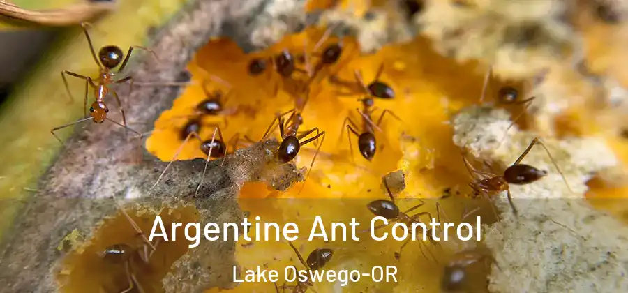 Argentine Ant Control Lake Oswego-OR