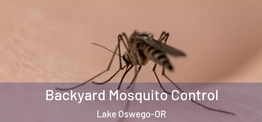 Backyard Mosquito Control Lake Oswego-OR