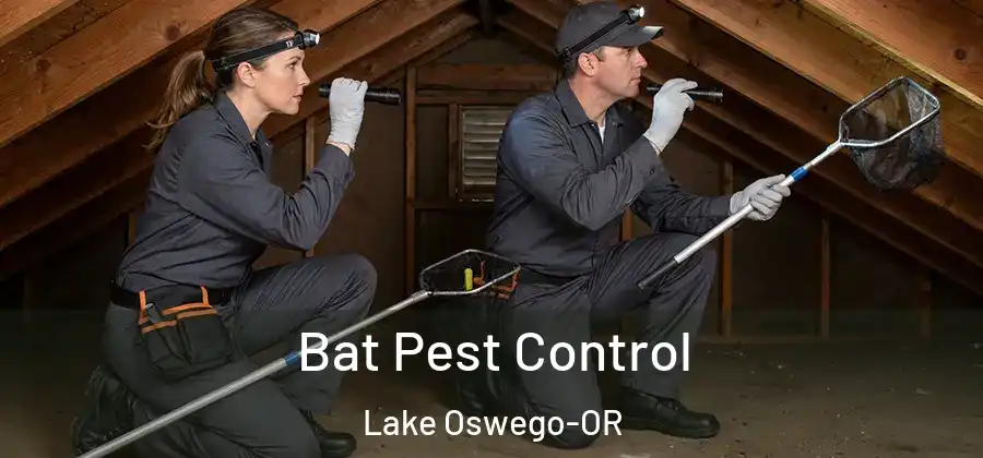 Bat Pest Control Lake Oswego-OR