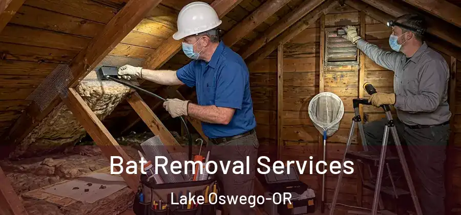 Bat Removal Services Lake Oswego-OR