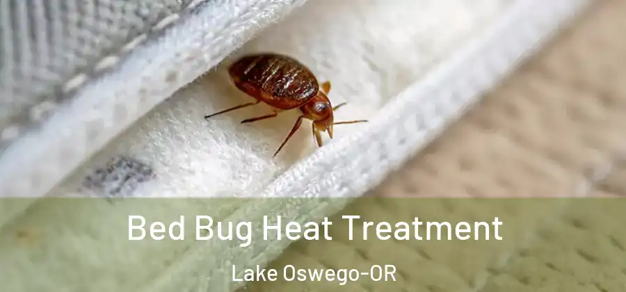  Bed Bug Heat Treatment Lake Oswego-OR