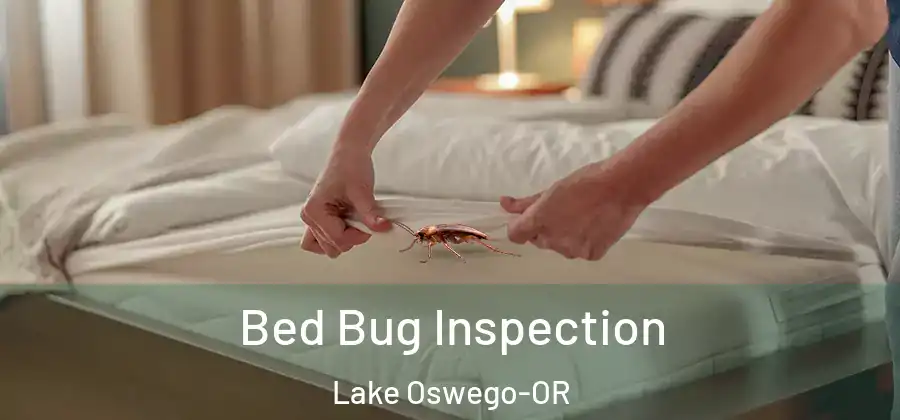 Bed Bug Inspection Lake Oswego-OR