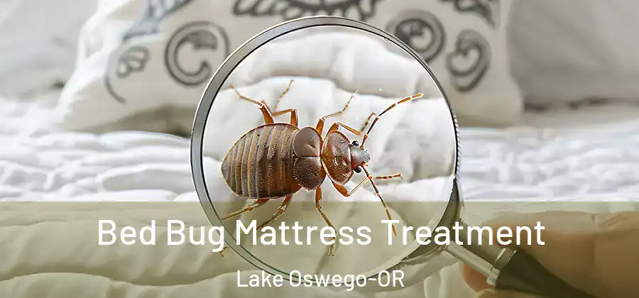 Bed Bug Mattress Treatment Lake Oswego-OR