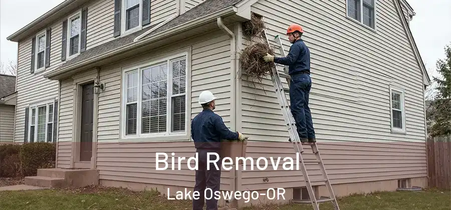Bird Removal Lake Oswego-OR