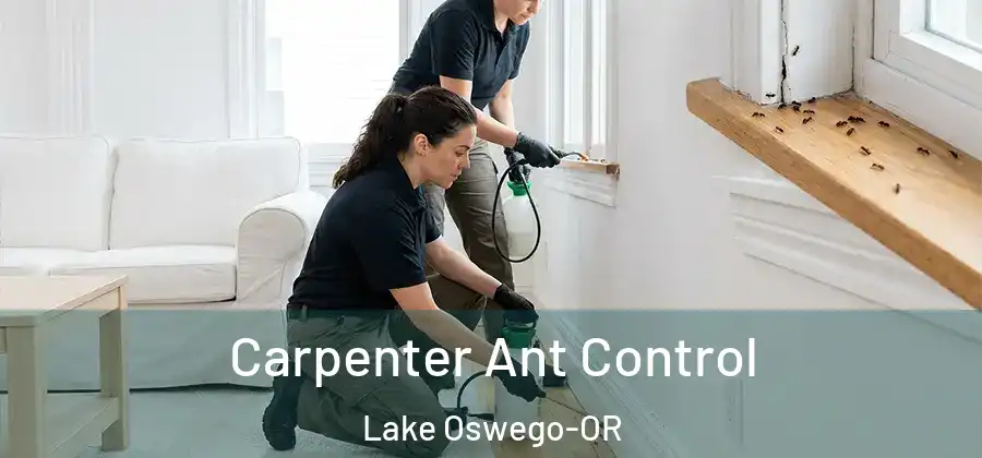  Carpenter Ant Control Lake Oswego-OR