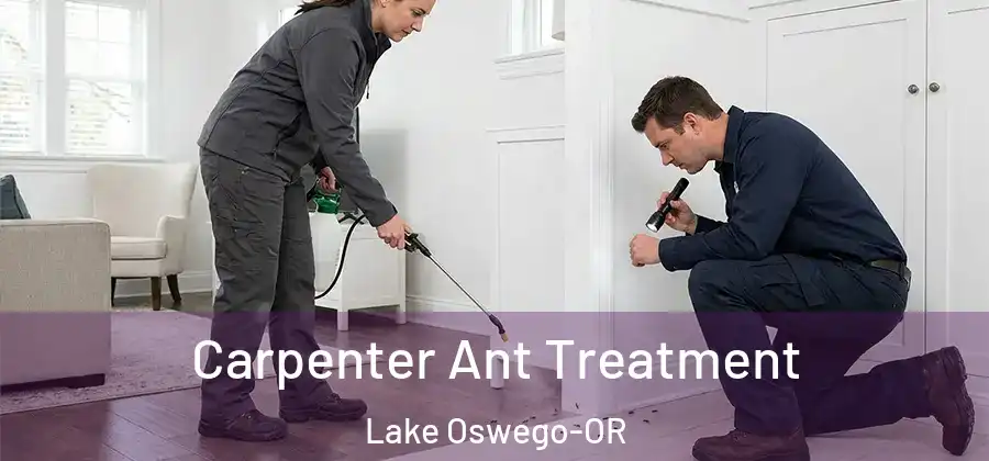  Carpenter Ant Treatment Lake Oswego-OR