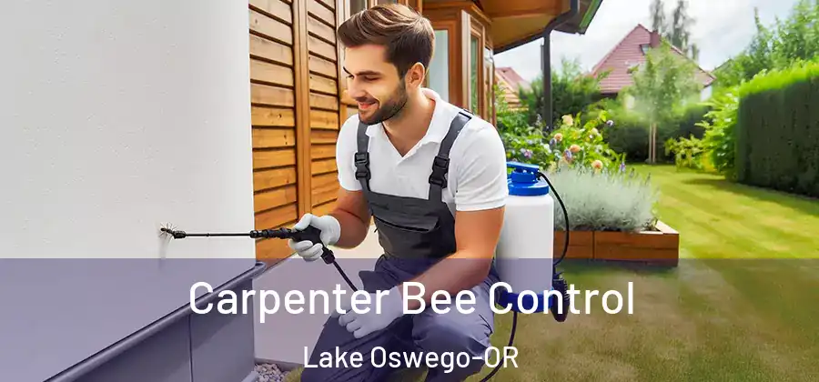  Carpenter Bee Control Lake Oswego-OR