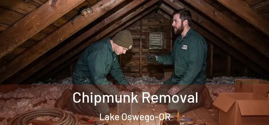  Chipmunk Removal Lake Oswego-OR