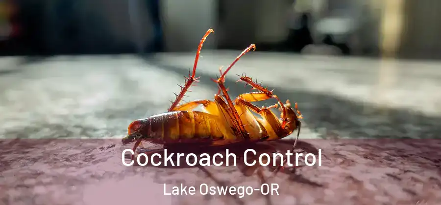  Cockroach Control Lake Oswego-OR