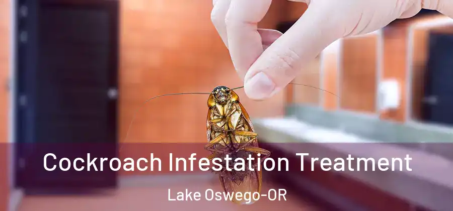  Cockroach Infestation Treatment Lake Oswego-OR