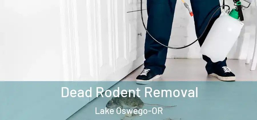 Dead Rodent Removal Lake Oswego-OR