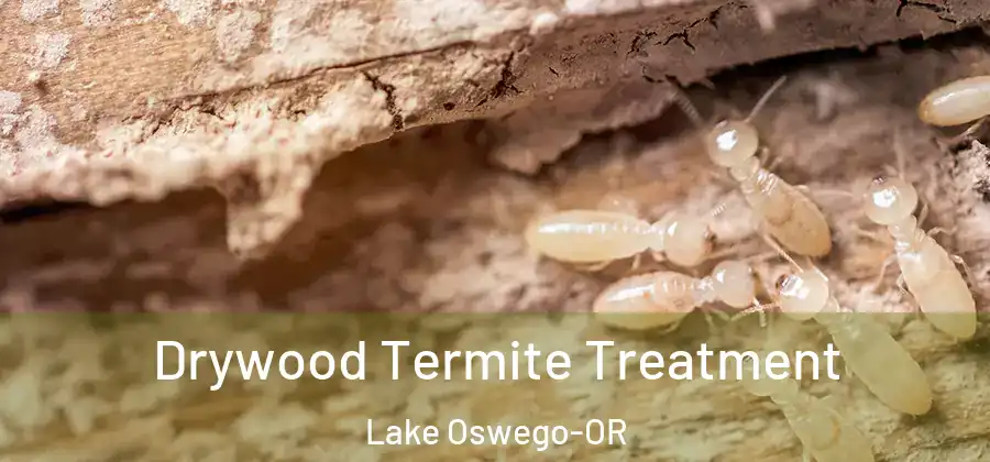 Drywood Termite Treatment Lake Oswego-OR
