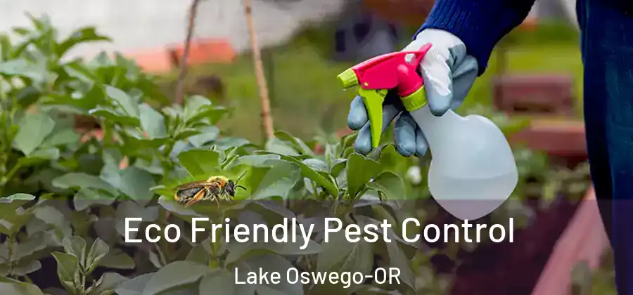  Eco Friendly Pest Control Lake Oswego-OR