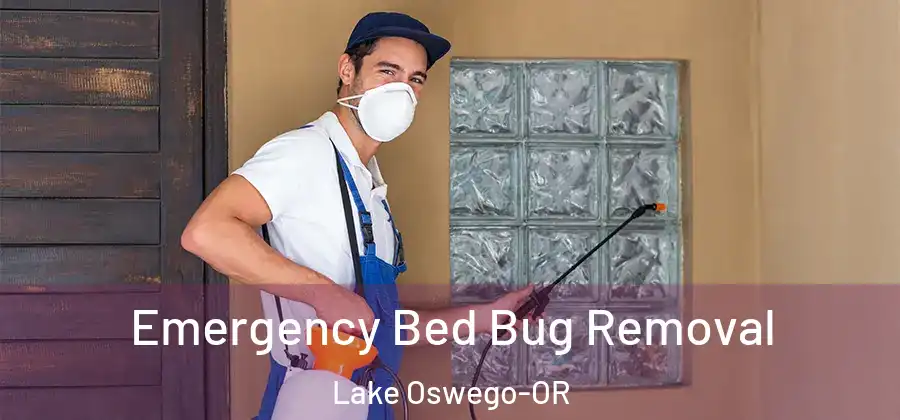  Emergency Bed Bug Removal Lake Oswego-OR