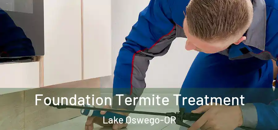  Foundation Termite Treatment Lake Oswego-OR