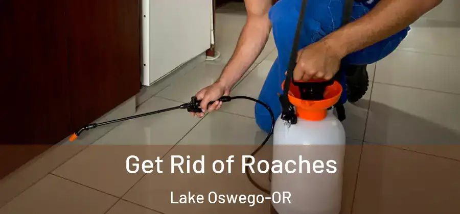  Get Rid of Roaches Lake Oswego-OR