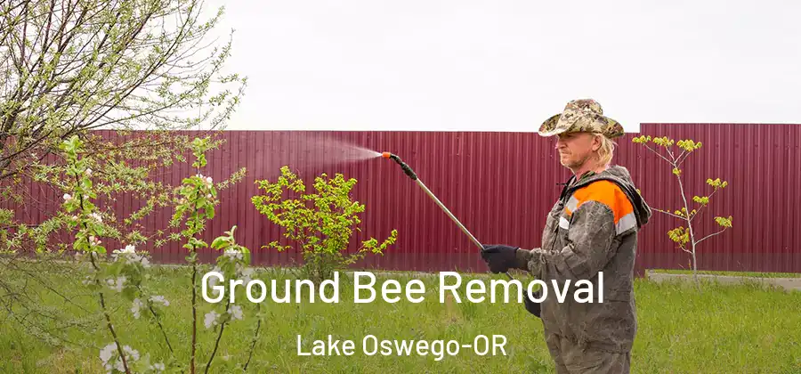  Ground Bee Removal Lake Oswego-OR