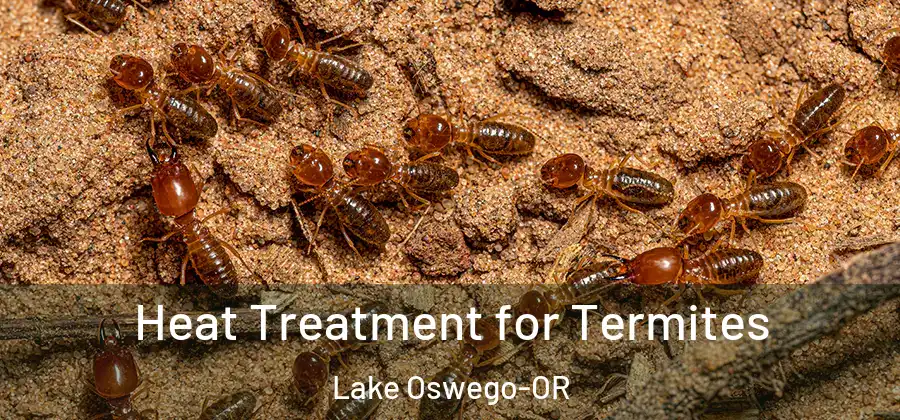  Heat Treatment for Termites Lake Oswego-OR