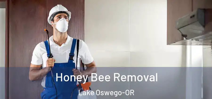  Honey Bee Removal Lake Oswego-OR
