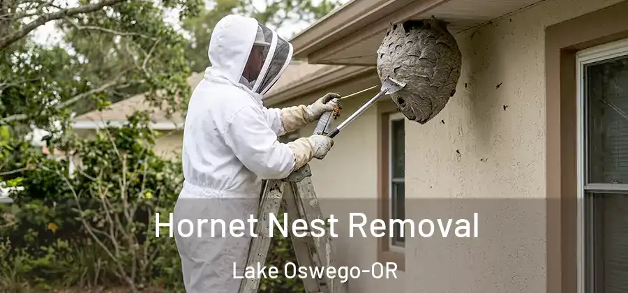 Hornet Nest Removal Lake Oswego-OR