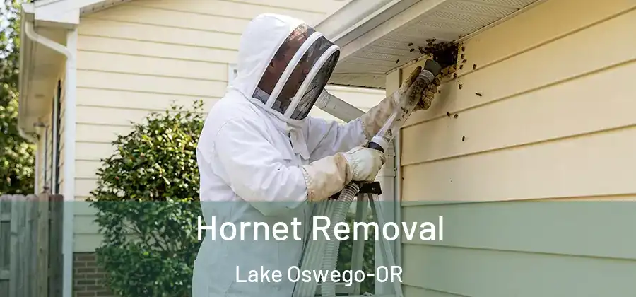  Hornet Removal Lake Oswego-OR