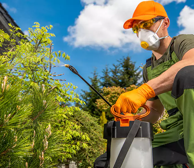 Your Best Bug Spray for Home Team in Lake Oswego, OR