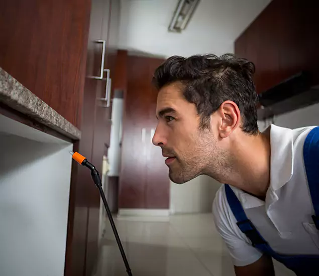 Termite Inspection Cost Experts You Can Trust in Lake Oswego, OR