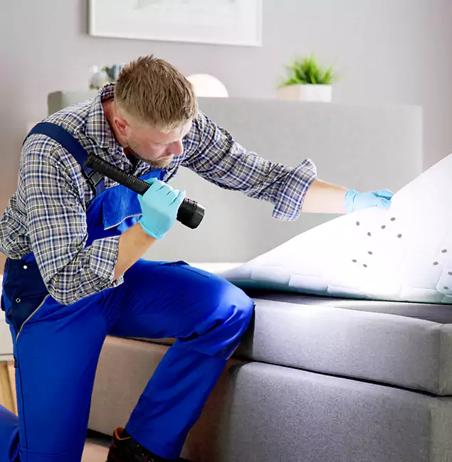 Why Choose Lake Oswego Pest Control Pro For Bed Bug Heat Treatment in Lake Oswego, OR?