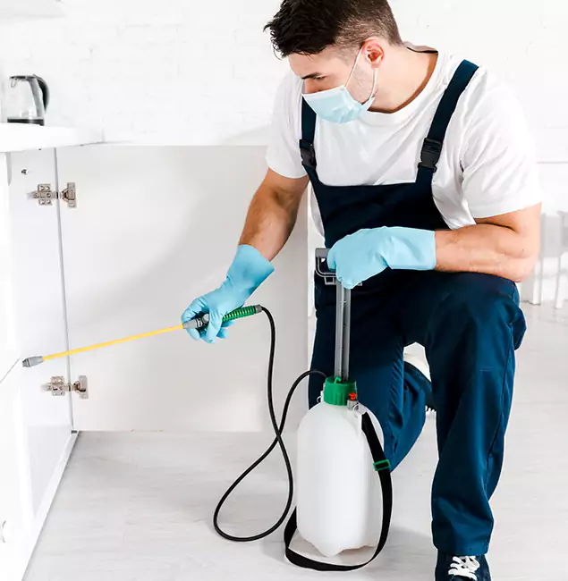 Why Lake Oswego, OR Homeowners Trust Us for German Roach Control?