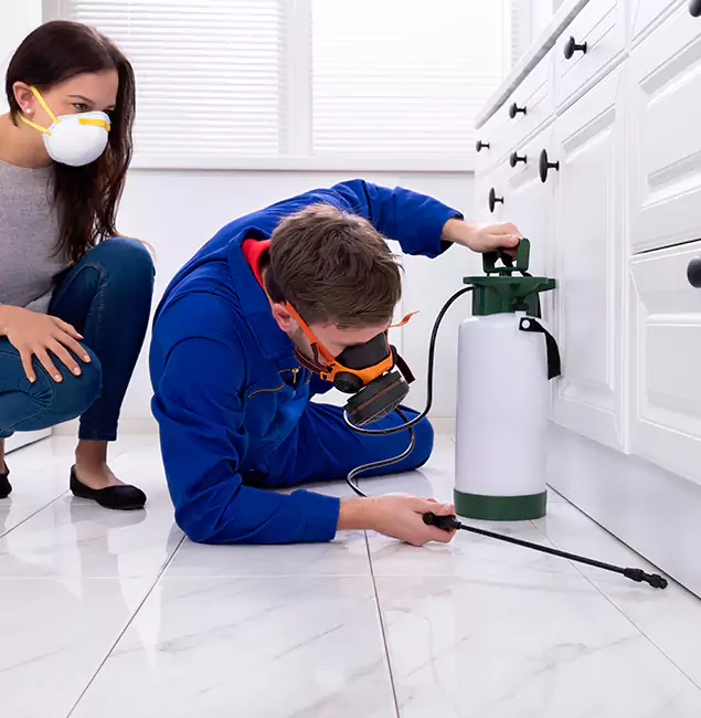 Why Lake Oswego, OR Homeowners Trust Lake Oswego Pest Control Pro for Roach Control?