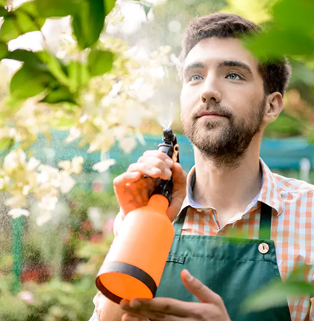 Why Lake Oswego Homeowners Call Lake Oswego Pest Control Pro for Mosquitoes in House?