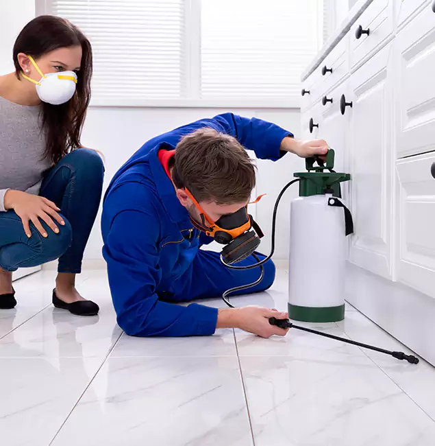 Why Choose Wood Termite Treatment by Lake Oswego Pest Control Pro in Lake Oswego, OR?