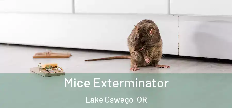 Mice Exterminator Lake Oswego-OR