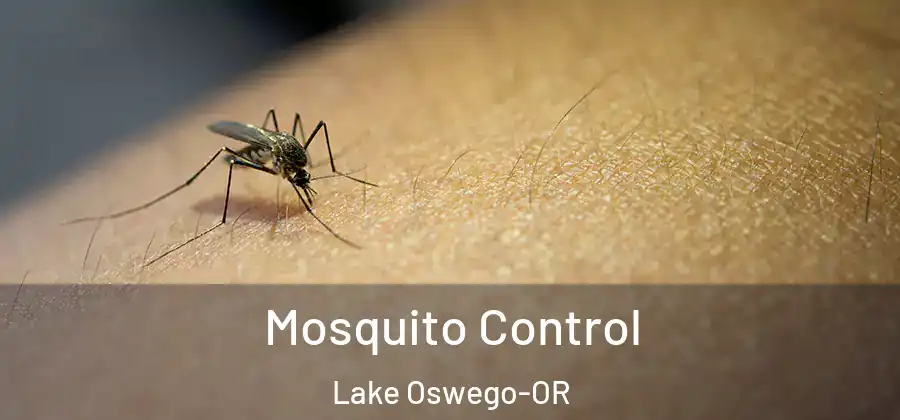 Mosquito Control Lake Oswego-OR
