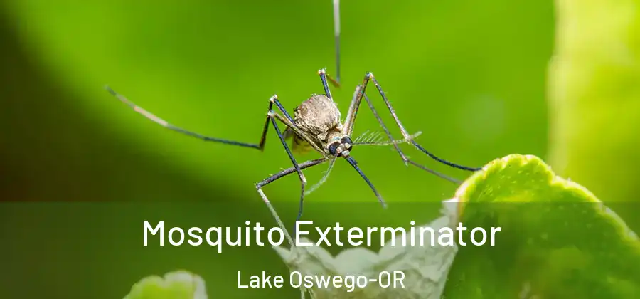  Mosquito Exterminator Lake Oswego-OR