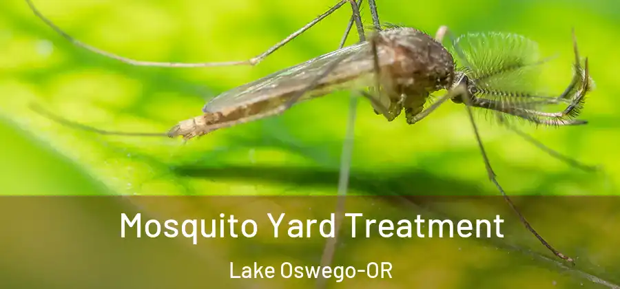 Mosquito Yard Treatment Lake Oswego-OR