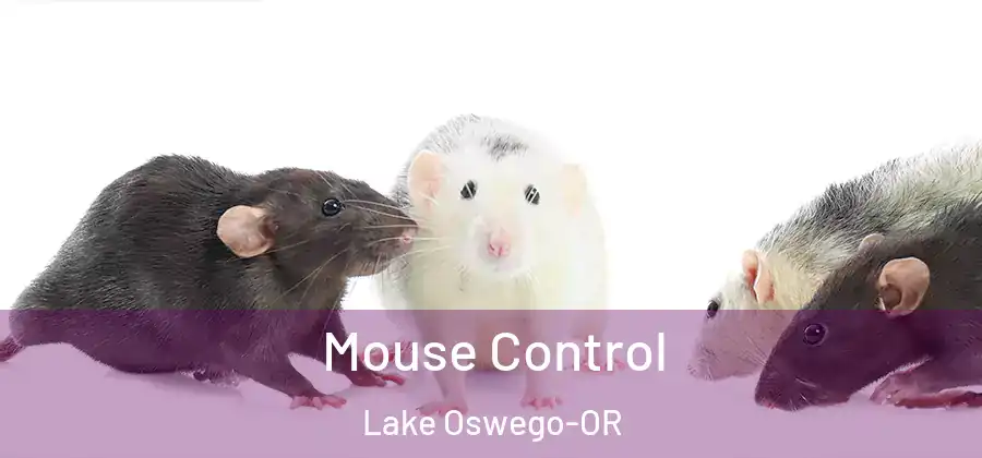  Mouse Control Lake Oswego-OR