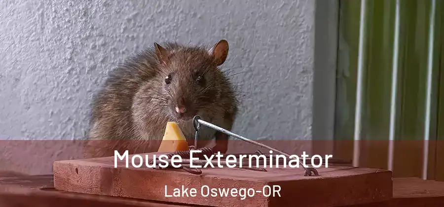 Mouse Exterminator Lake Oswego-OR