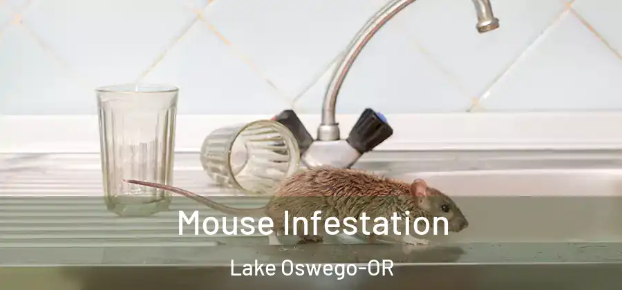 Mouse Infestation Lake Oswego-OR
