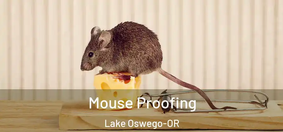  Mouse Proofing Lake Oswego-OR