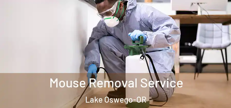 Mouse Removal Service Lake Oswego-OR
