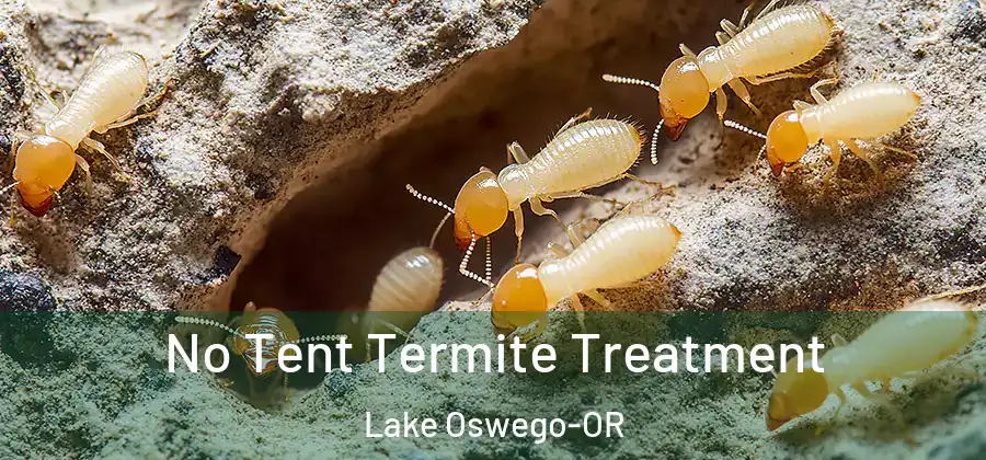 No Tent Termite Treatment Lake Oswego-OR