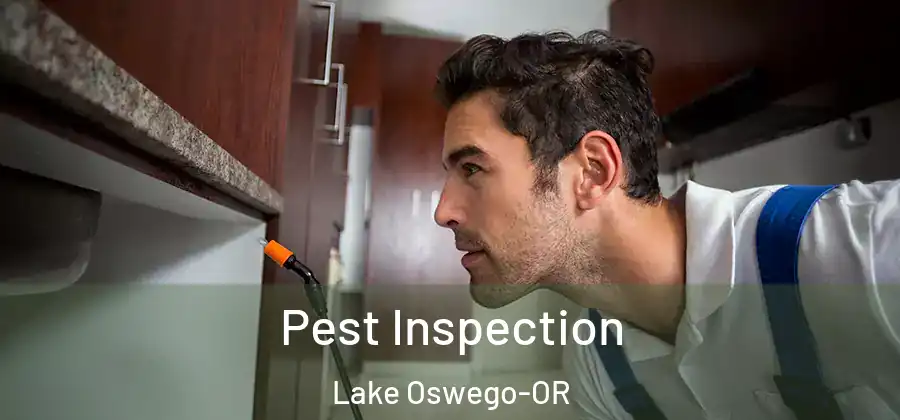 Pest Inspection Lake Oswego-OR