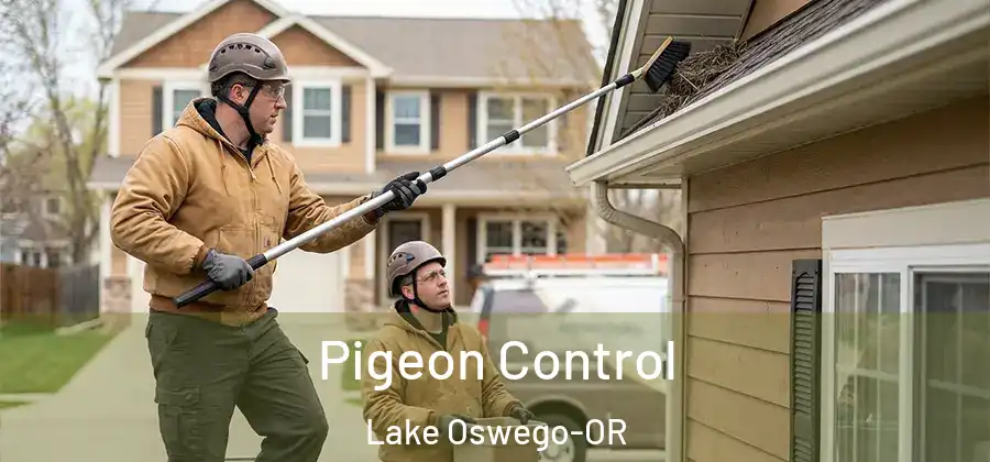Pigeon Control Lake Oswego-OR