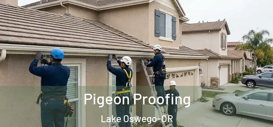  Pigeon Proofing Lake Oswego-OR