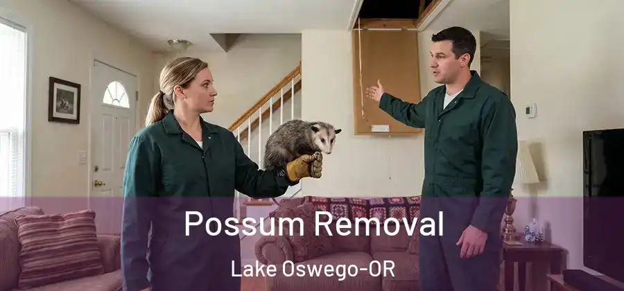Possum Removal Lake Oswego-OR