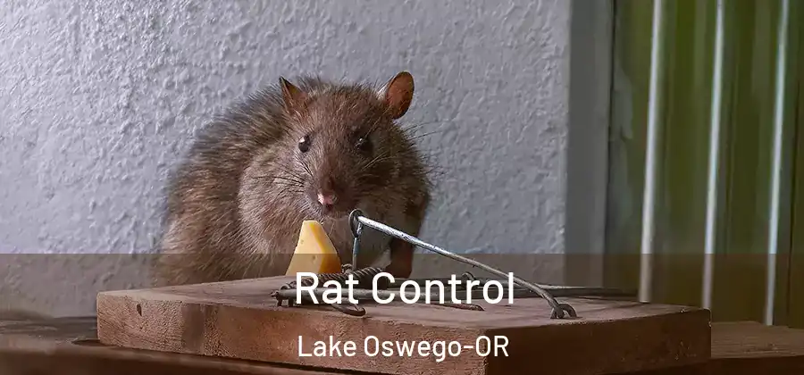  Rat Control Lake Oswego-OR
